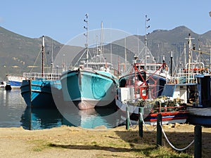 Colorful fishing boats in Hout Bay Harbor