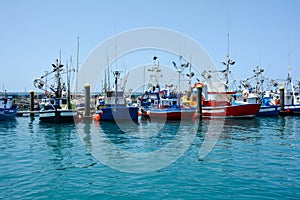 Colorful fishing boats in Los Cristianos Harbour, Tenerife, Spain