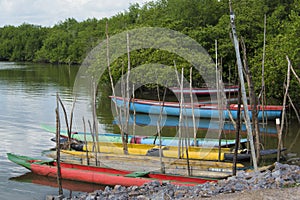 Colorful fishing canoes docked on the river bank