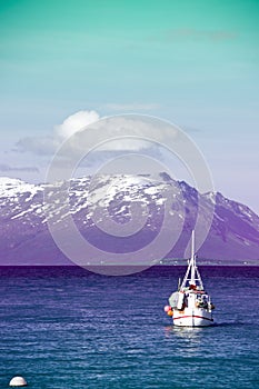 Colorful fjord photo