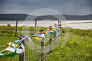 Colorato bandiere agitando vento Prossimo sul sabbioso Spiaggia 