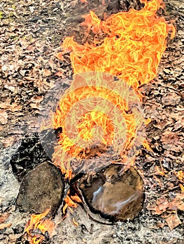 Colorful flames on a burn pile