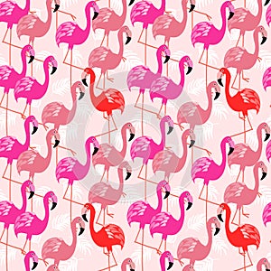 Colorful flamingo seamless pattern