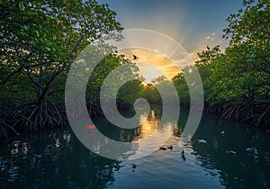Colorful Flamingos in Mangrove Sunset, generative ai photo