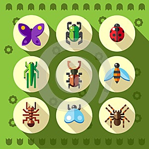 Colorful flat insect bug icons