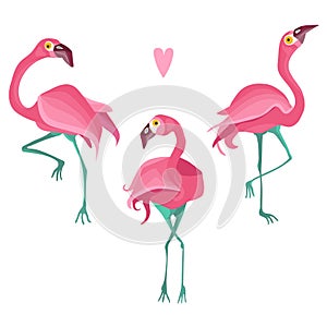 Colorful flat vector flamingo set