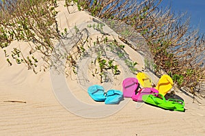 Colorful Flip Flop sandals on a beach