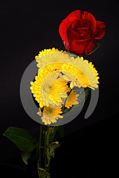 Colorful Floral Arrangement isolated photo