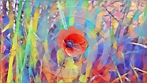 Red poppy illustration against colorful background.