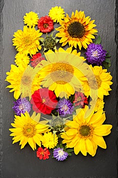 Colorful floral background, top view