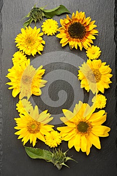 Colorful floral background, top view