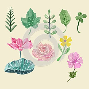 Colorful floral collection with leaves and flowers, drawing watercolor.