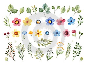 Colorful floral collection with multicolored flowers,leaves,branches,berries