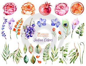Colorful floral collection with roses, flowers, leaves, pomegranate, grape, callas, orange, peacock feather