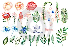 Colorful floral collection with roses,flowers,leaves,protea,blue berries,spruce branch,eryngium