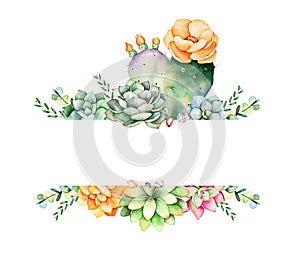 Colorful floral frame with leaves,succulent plant,branches and cactus.