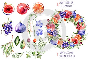 Colorful floral and fruits collection with orchids,flowers,leaves,pomegranate,grape,orange,figs and berries.