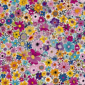 Colorful Floral Pattern illustration