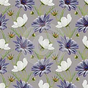 Colorful floral seamless pattern with white cosmos and blue daisy flowers collage on gray background