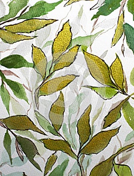 Colorful floral watercolor background with delicate twigs and leaves. watercolor paper texture. Hand drawn botanical background.