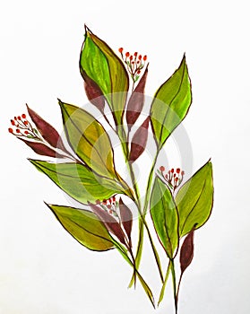 Colorful floral watercolor background with delicate twigs and leaves. watercolor paper texture. Hand drawn botanical background.