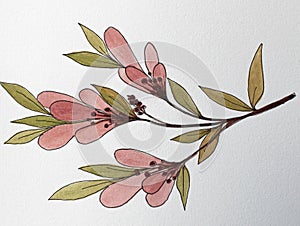 Colorful floral watercolor background with delicate twigs and leaves. watercolor paper texture. Hand drawn botanical background.