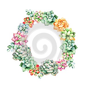 Colorful floral wreath with leaves,succulent plant,branches