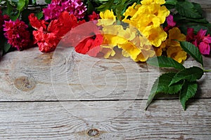 Colorful florals placed on the table old wooden