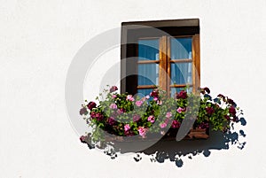 Colorful Flower Arragement on the windows in Austria