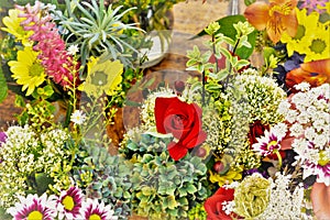 Colorful flower arrangement - close up