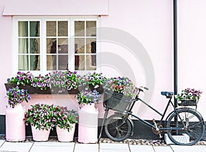 Colorful flower arrangement surrounding window of cottage