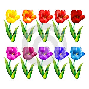 Colorful flower background. Vector illustration.