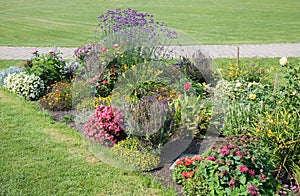 Colorful flower bed in the park with summer flowers