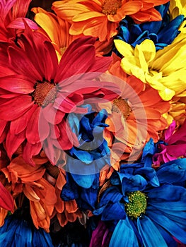 Colorful flower bouquet