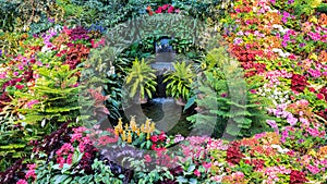 Colorful Flower Display in a Canadian Garden
