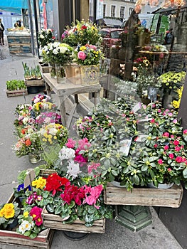 Florist shop sidewalk display on rue Lepic, Montmartre, Paris, France