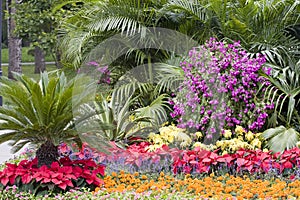 Colorful flower garden