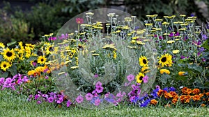 Colorful flower garden in Edwards, Colorado.