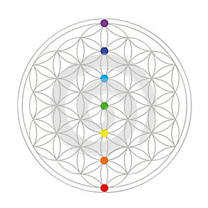 Colorful flower of life geometry