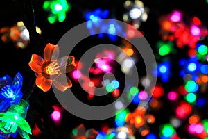 Colorful Flower Of Light