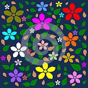 Colorful flower, Multi color flower background