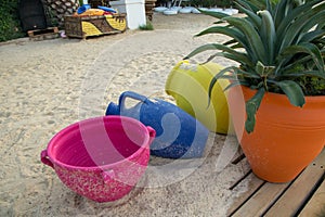Colorful flower pots