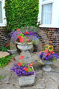 Colorful Flower pots house patio