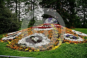 Colorful flower sculpture of a peacock on the island of Mainau Bodensee