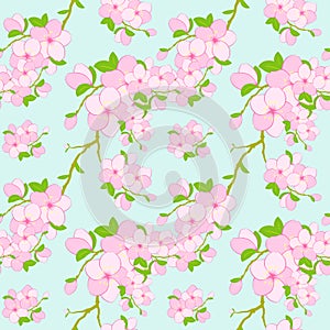 Colorful Flower Seamless Pattern Background