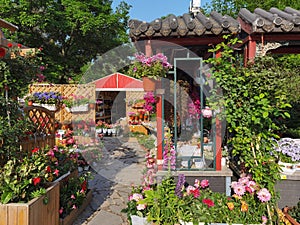 Colorful flower store