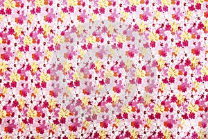 Colorful Flower Texture