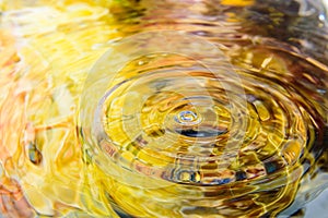 Colorful flower of water reflection and water drop