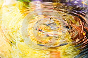 Colorful flower of water reflection and water drop