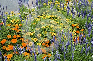 colorful flowerbed with salvia, begonias, tagetes, zinnias near a pond